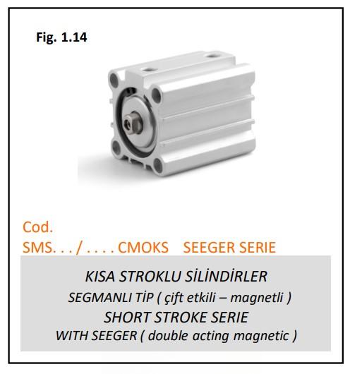 SHORT STROKE SEGMANLI