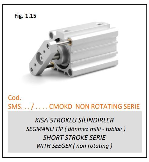 SHORT STROKE DÖNMEZ MİLLİ