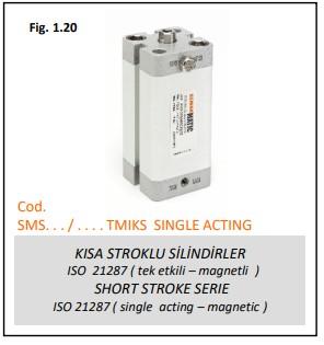 TEK ETKİLİ SHORT STROK