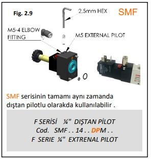 DIŞTAN PİLOTLU VALF